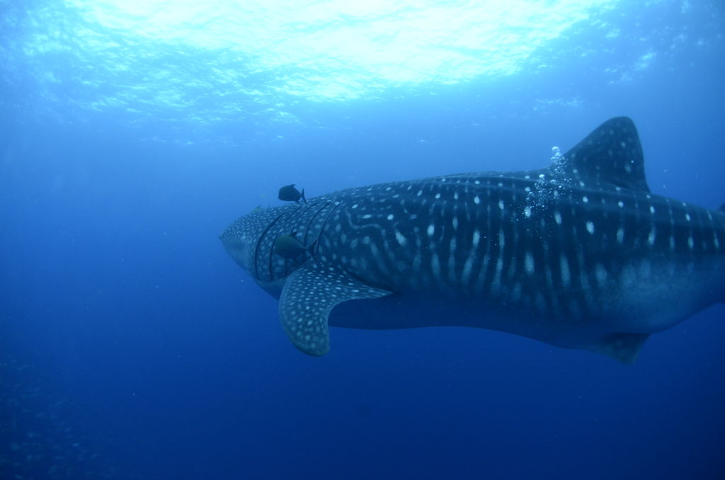 e25d7487-c7d5-4c1c-8220-b5ee3cc36549