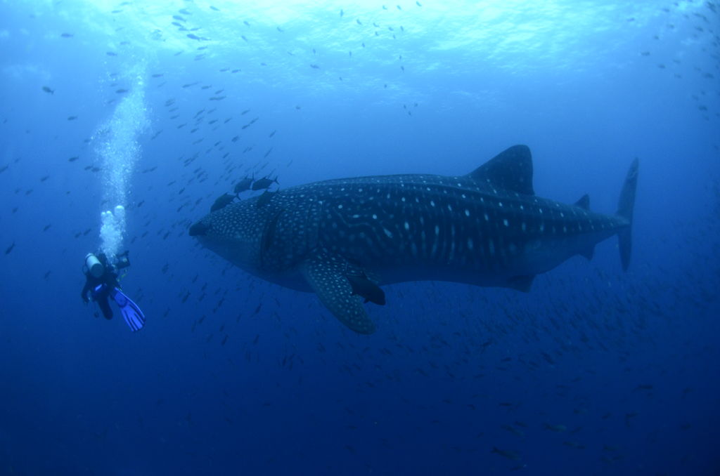 e25d7487-c7d5-4c1c-8220-b5ee3cc36549