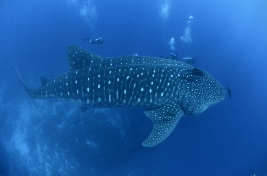 e25d7487-c7d5-4c1c-8220-b5ee3cc36549