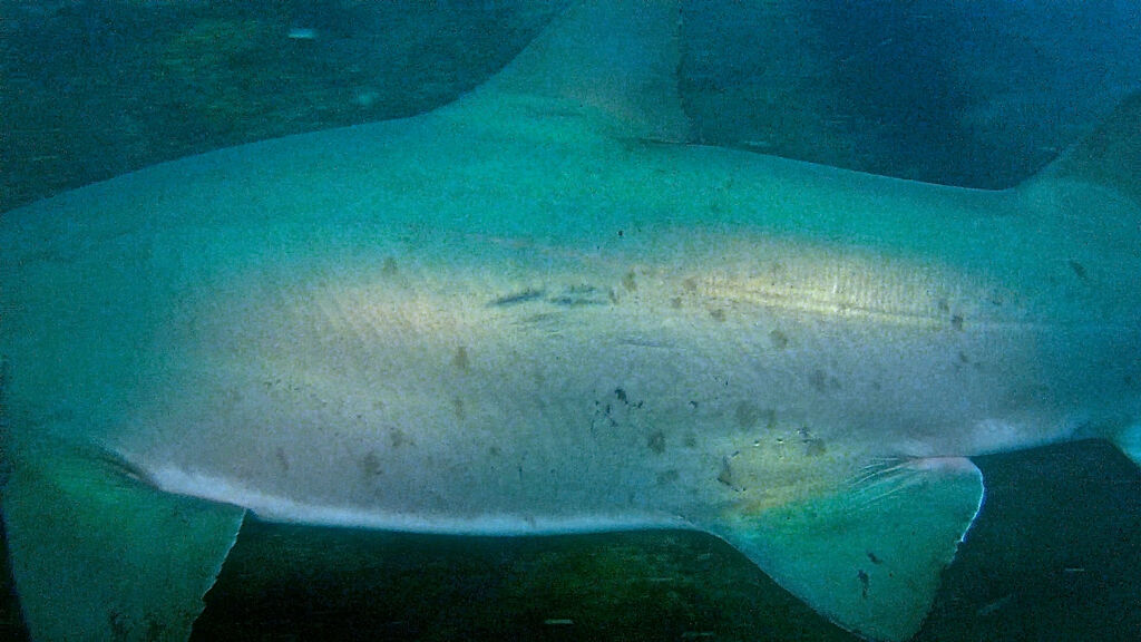 986ea6ba-72e0-4dc5-bda9-4567c5a47fba