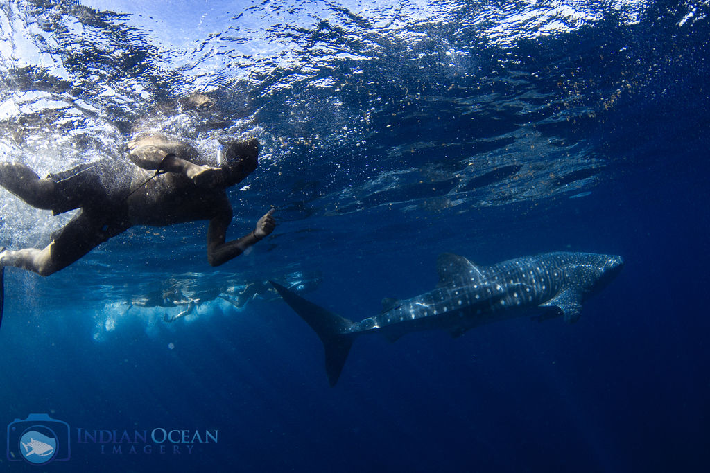 37d74d08-a0d0-490e-a934-ebe73d896502