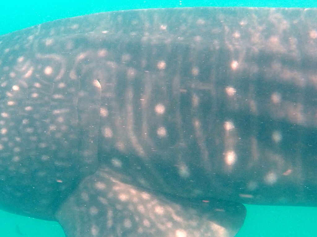 eee0dd85-982d-4119-be43-69141d77c8b8