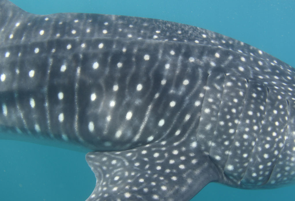 ac7182c2-56f5-40d0-9b15-bd2678659f64