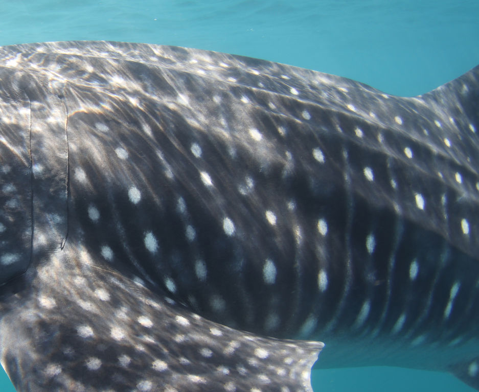 ac7182c2-56f5-40d0-9b15-bd2678659f64