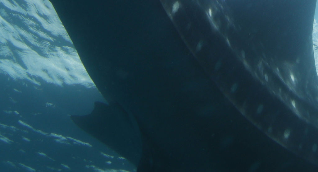 ac7182c2-56f5-40d0-9b15-bd2678659f64