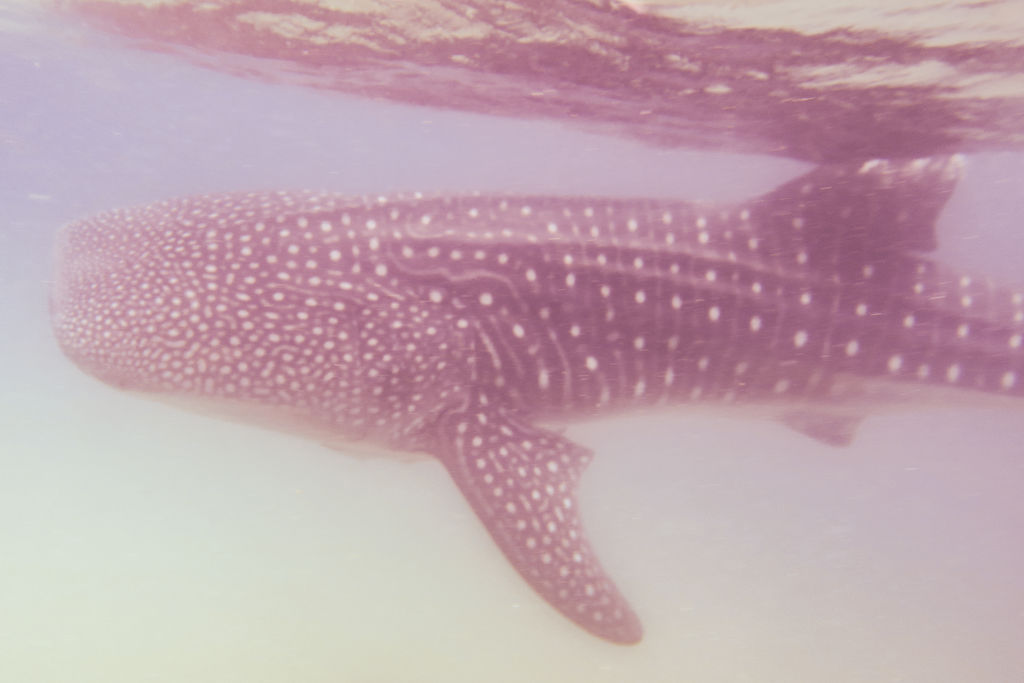 902e4dd1-aad4-48f7-b203-badac14d42d5