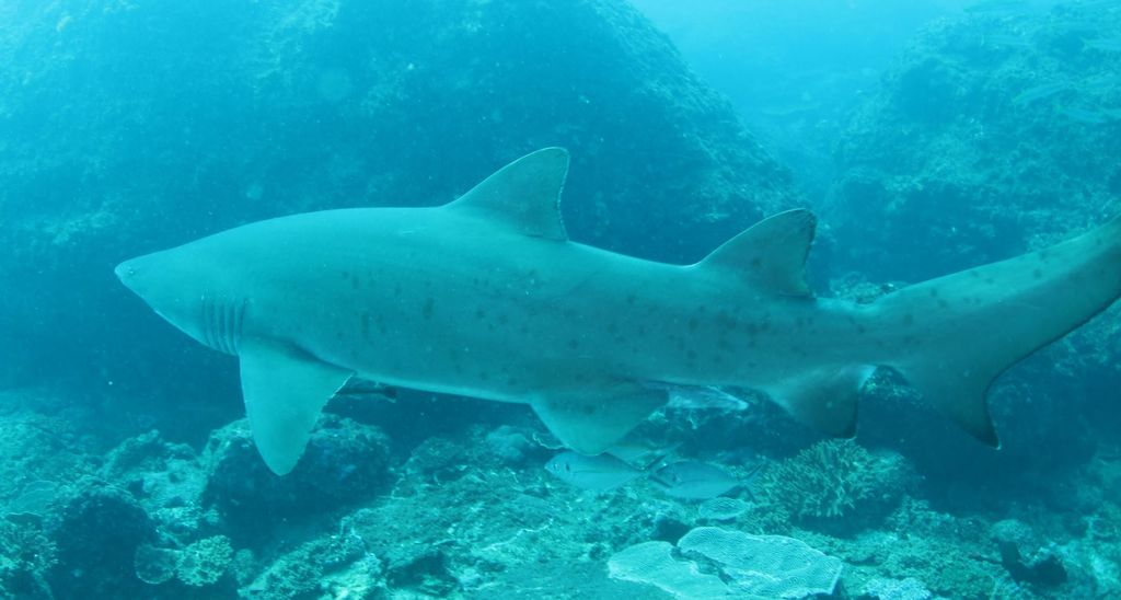 cfd169ad-17b8-411d-ad6e-b07ffbbf2954