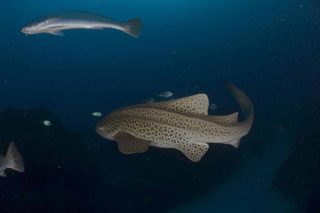 7d94b8d6-bd84-494f-8416-0349a17adee0