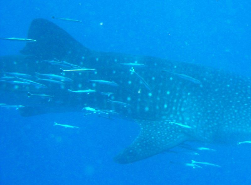 3cd2ee3a-bf19-4f1d-8f87-b91373b301c3