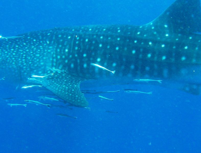 3cd2ee3a-bf19-4f1d-8f87-b91373b301c3