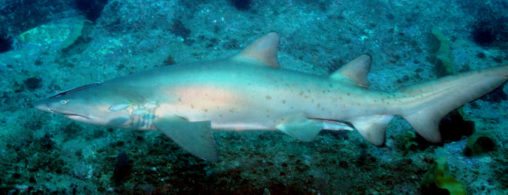 b08f2094-9ee2-47ec-a343-07244534681b