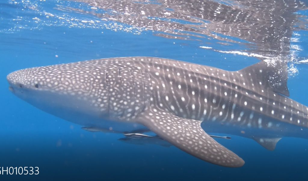 75b1228d-bf57-48e2-a94c-fa4f29f27226