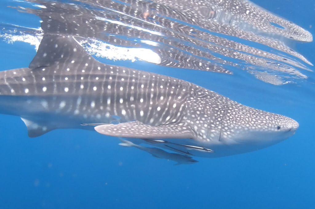 75b1228d-bf57-48e2-a94c-fa4f29f27226