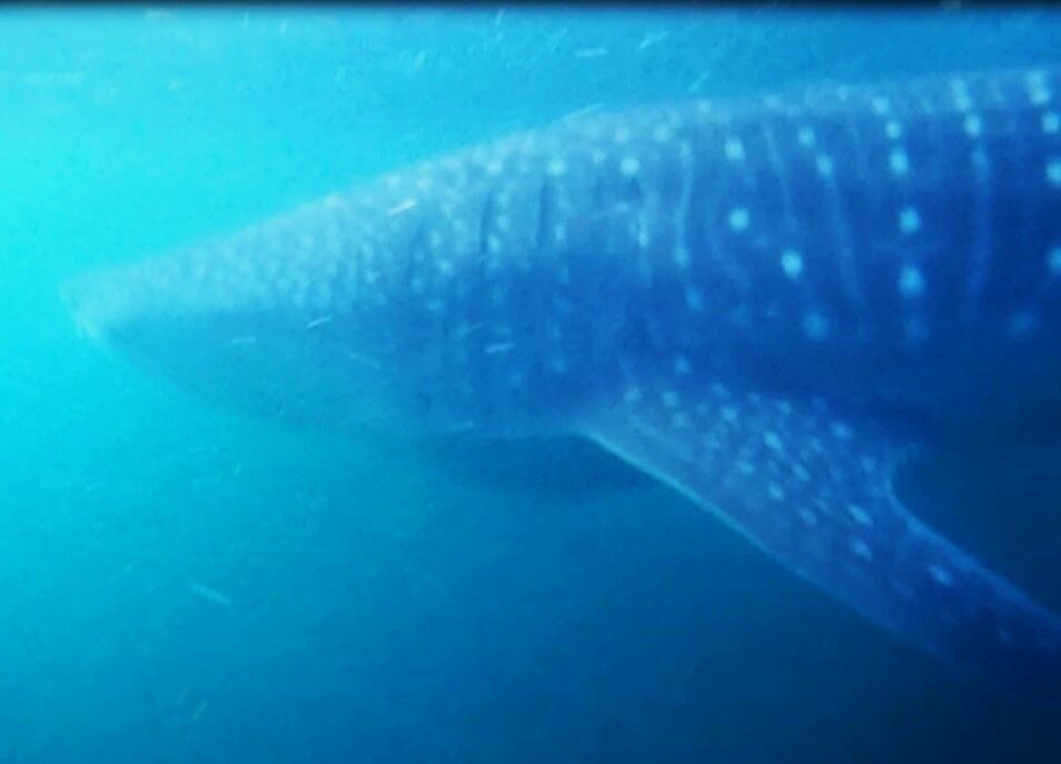 78260721-e1f8-45ee-9844-fc83d2af2370