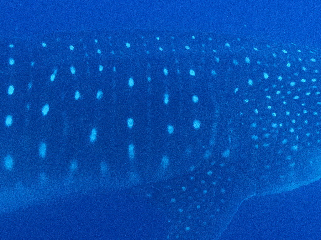 54819a07-e136-44ac-9ae2-4a24fd657676