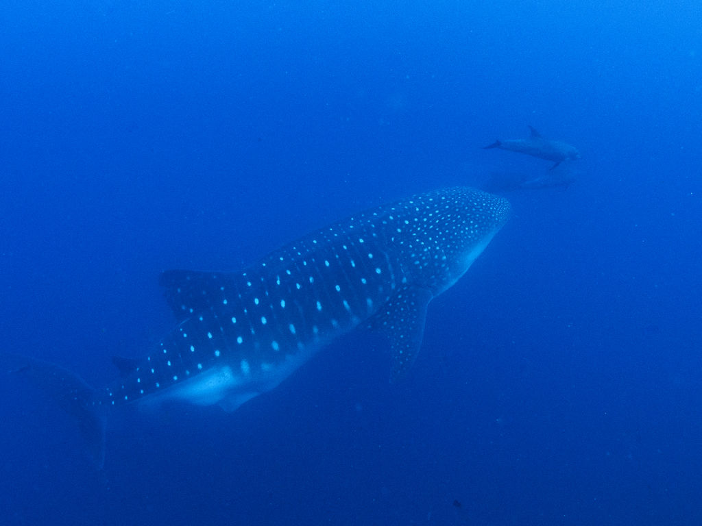 54819a07-e136-44ac-9ae2-4a24fd657676