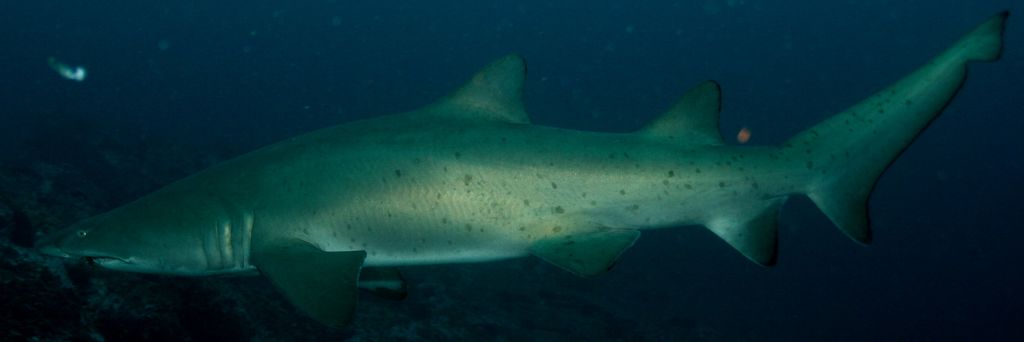 415b0099-8775-4534-a20d-9407d428ca71