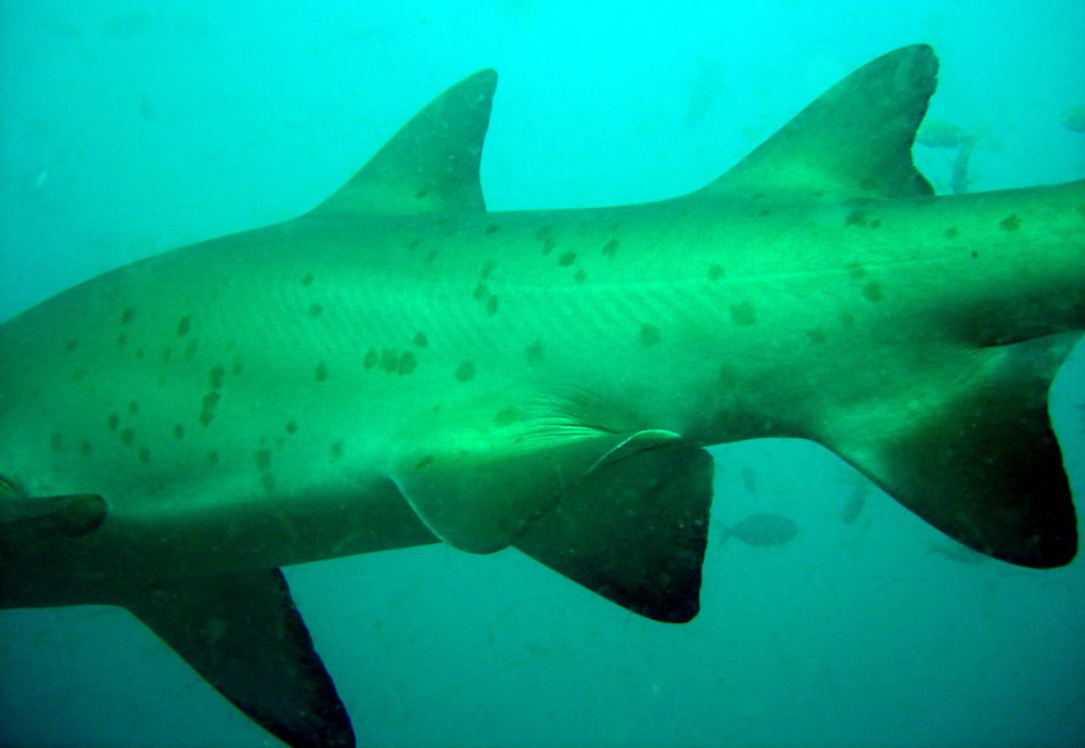 7fcd90ad-918e-41ef-8781-fc3ff49c3d0e