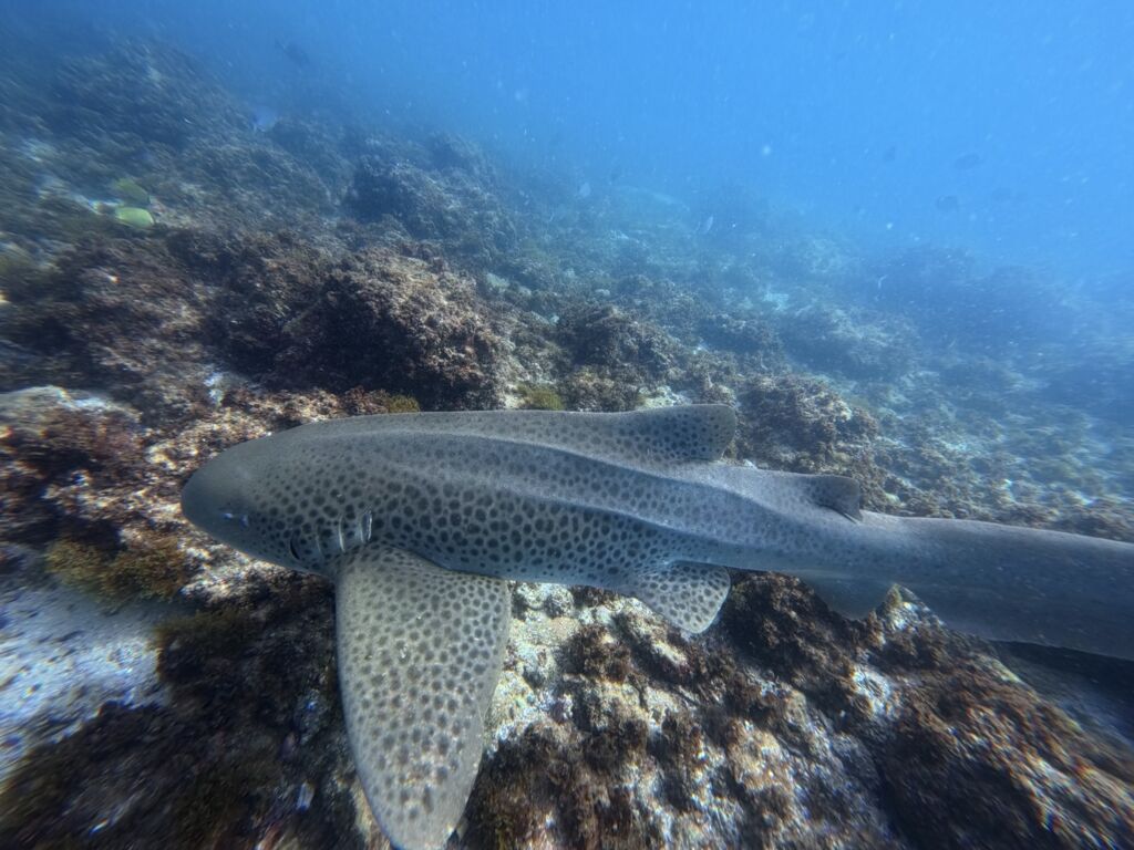 e450915a-9eba-4d67-9524-b9f9a4146cb2