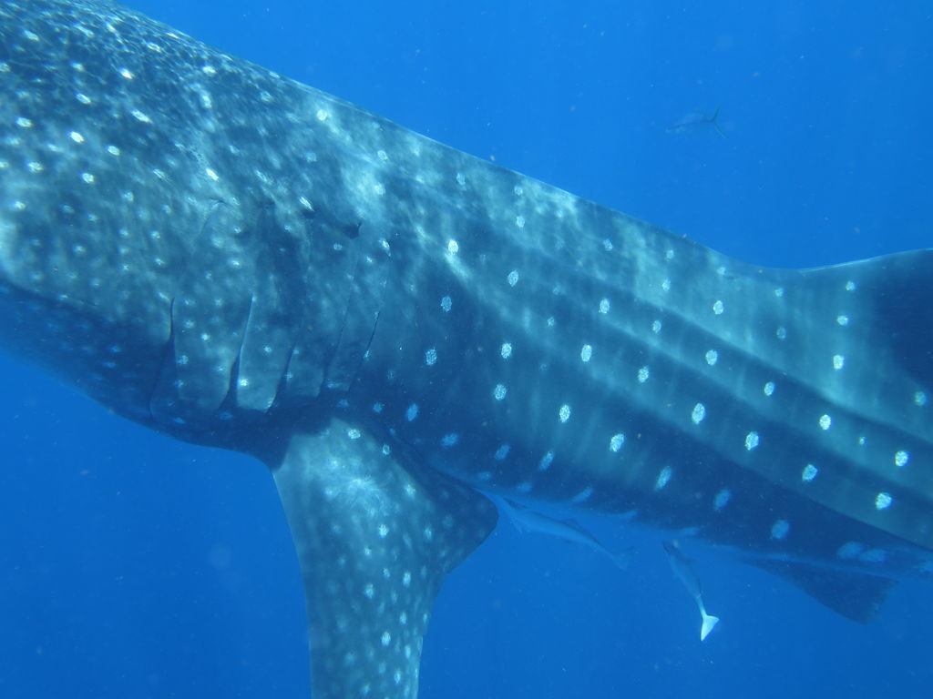 057d7457-9132-4b60-8713-3c6cad0b0630