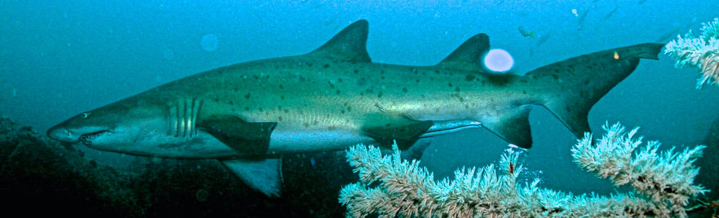 dec78d09-83b0-4bf6-b0eb-a6c5e5bf554b