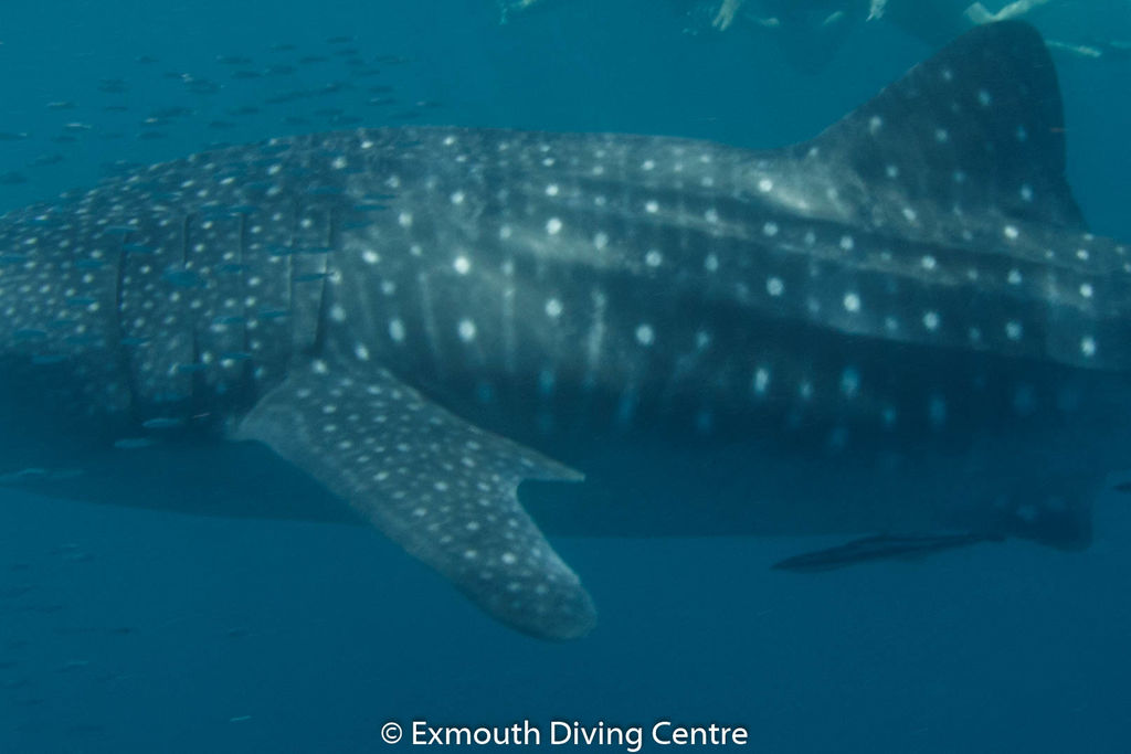 490a4da5-c32e-4469-91b3-4252b3c9656b