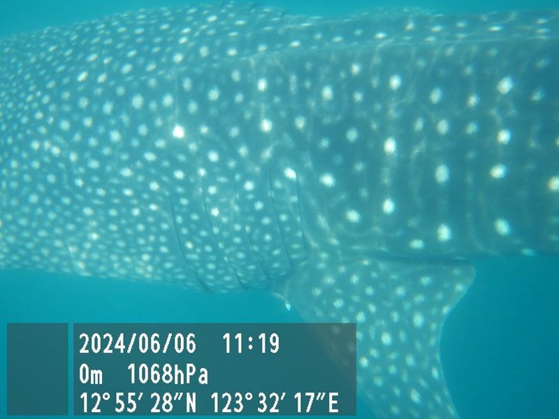 2d90a737-2e75-4d95-bd36-d6522d350aaf