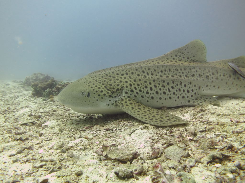 a82da906-0da4-4b78-949b-eb5895d88edd