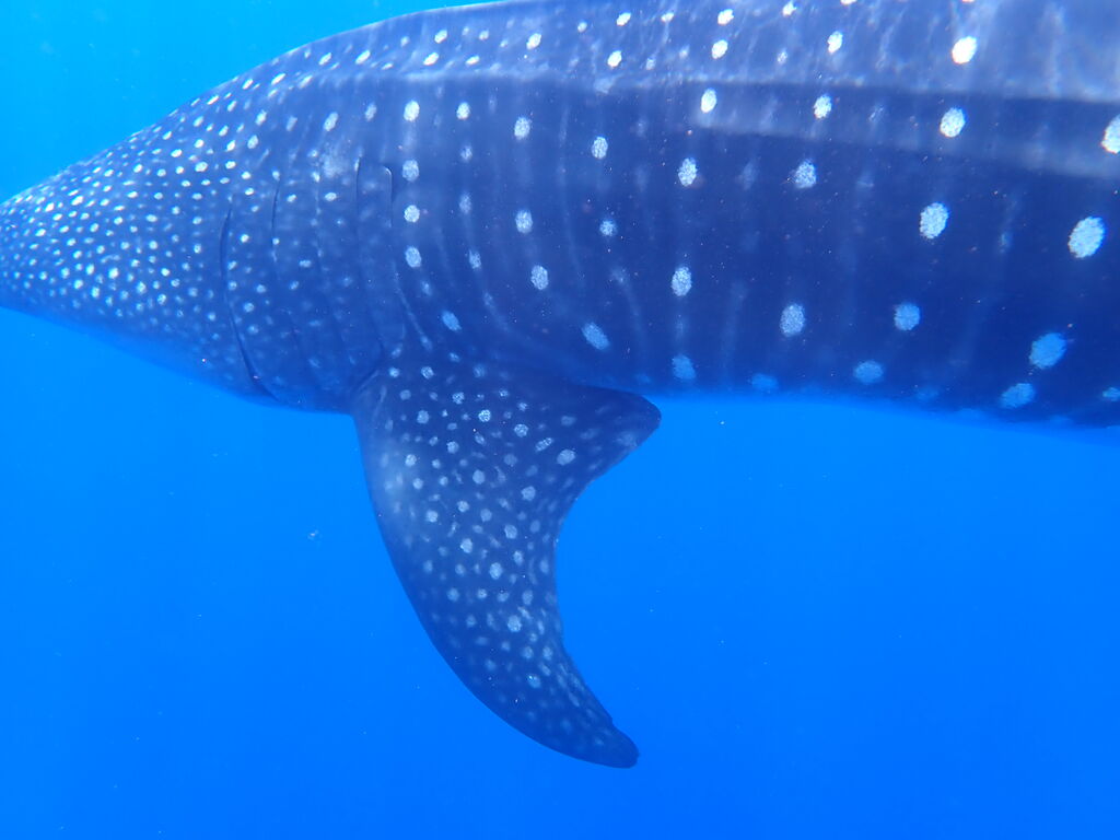 b7a88dcd-78e5-43e7-9cca-7c9e9de55aae