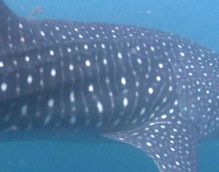 becf541a-1bf2-4a32-8472-e46910c15089