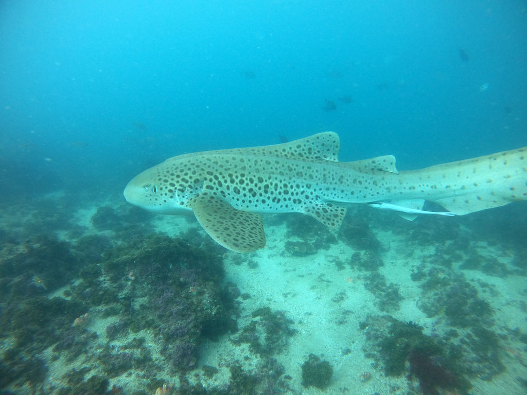 8fd3e5d7-59bb-4eae-aed1-ab9001fedea1