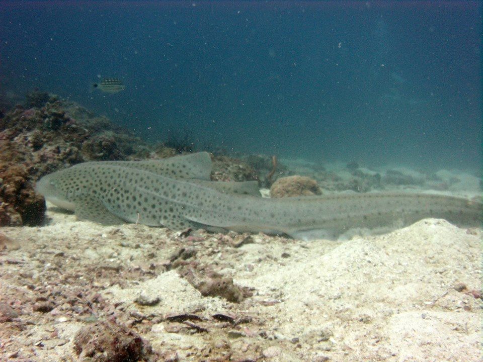 5be01baf-acc4-45db-895e-24969b656198