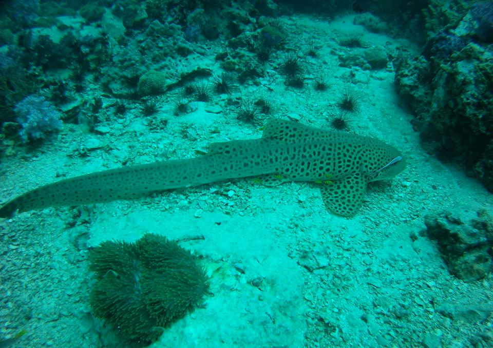 81b5d9d8-afc5-48ab-a307-c3631695f046