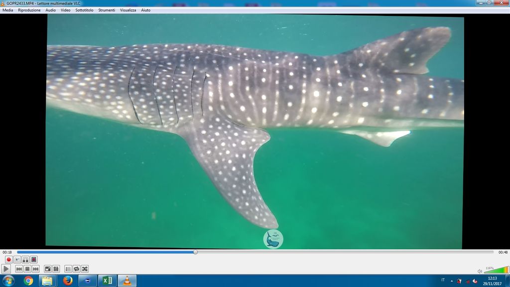 5cfb0be5-64df-4680-8ee9-f1a580609477