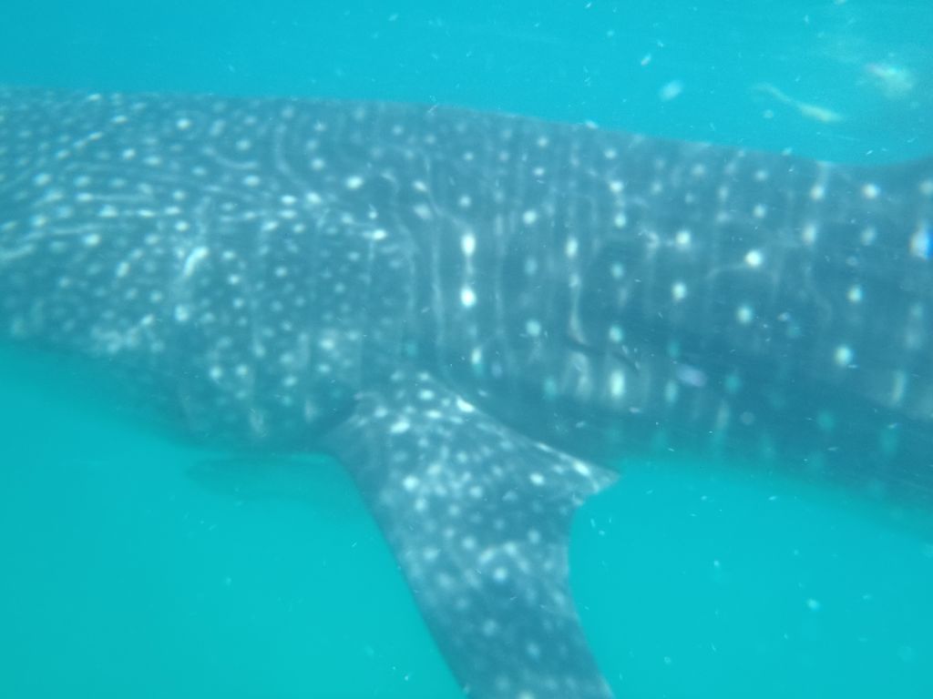 05a17808-3a1f-478d-8c6e-889cb906b93e