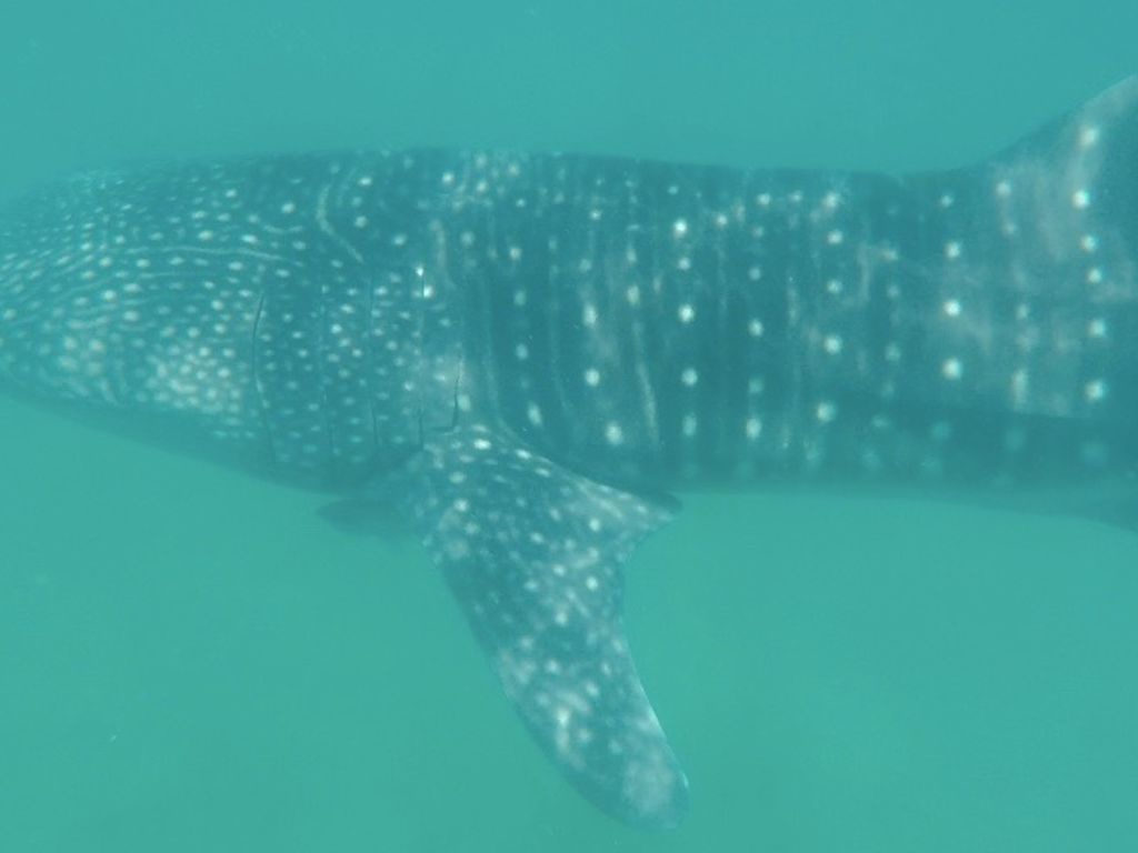 05a17808-3a1f-478d-8c6e-889cb906b93e