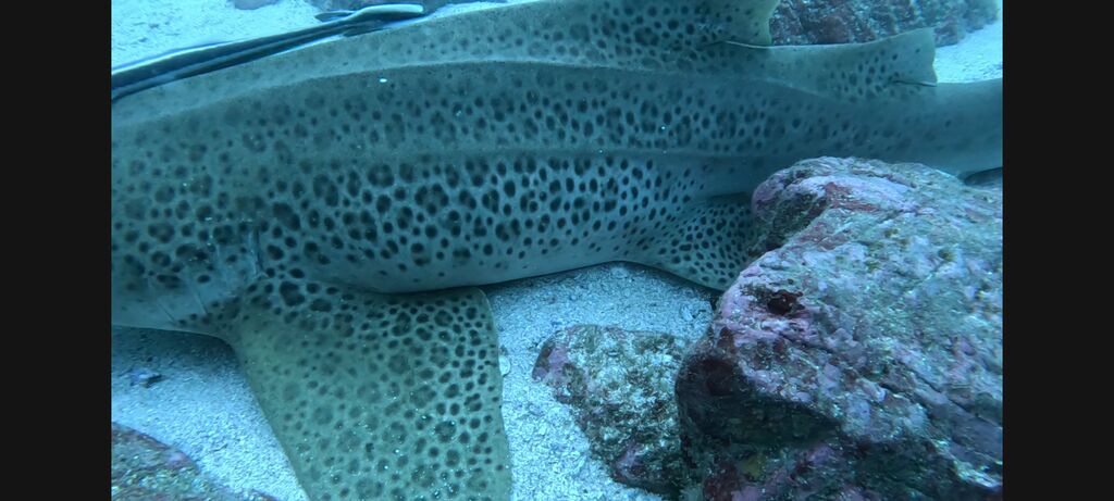 5e7bc46e-889f-4211-b727-e07c48e9f6f9