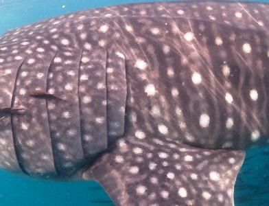 8cb487ee-6232-4003-aba6-eb22acb497b1