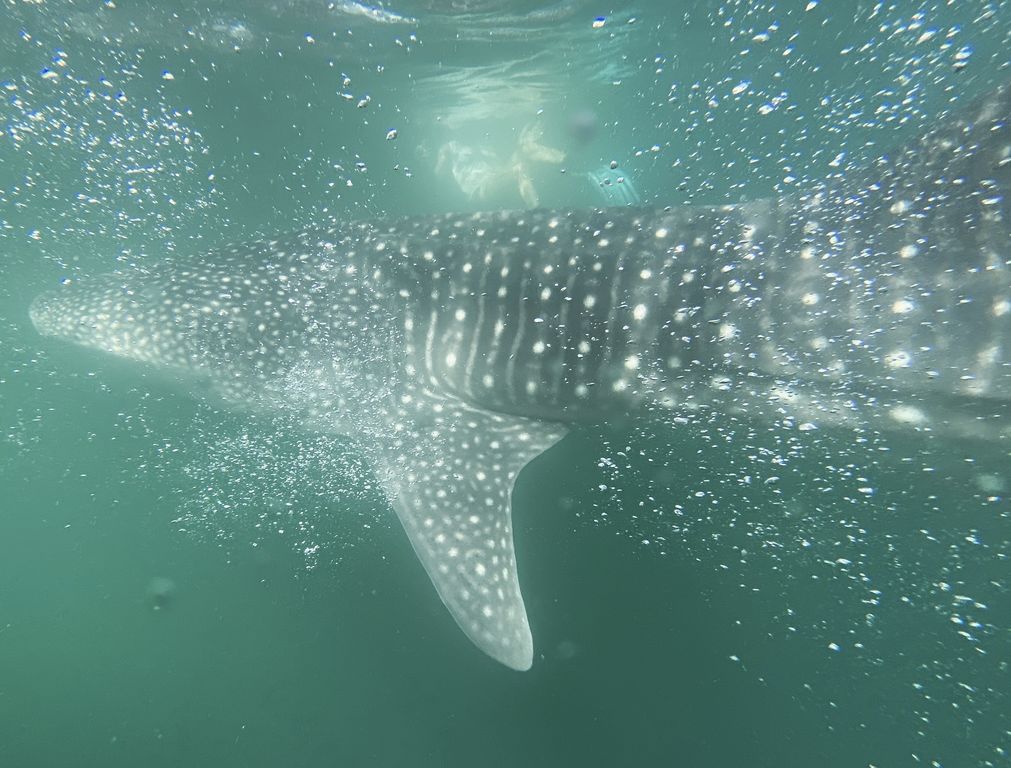 632741e8-208c-40ae-b08a-fba289c9ad25