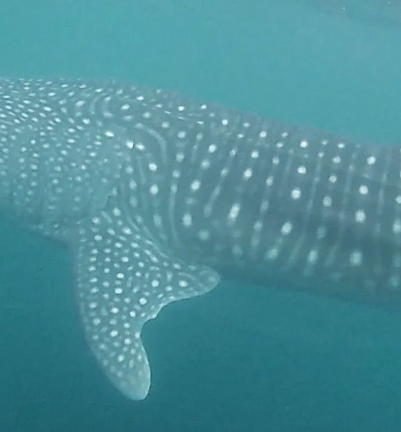 4f126239-a4f4-4ee0-98cf-df8d40ed6a6d