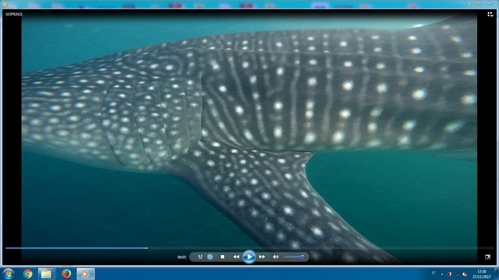 a041e620-9c67-47b1-ab7e-bc611806dc58