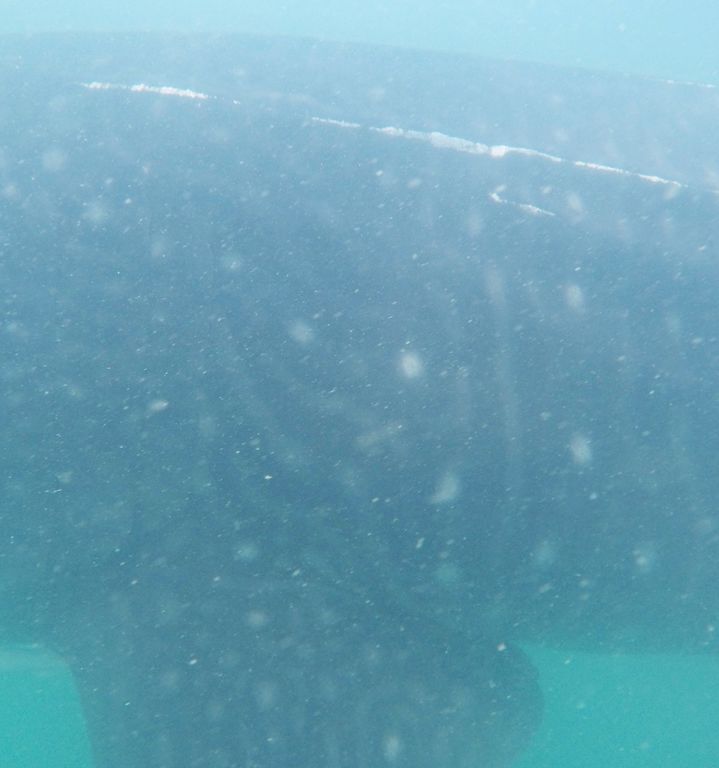 47796346-4216-444d-845a-50684b39d1f2