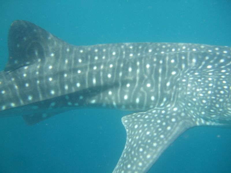 5311b52a-3e90-40b9-9aa0-9e55f525c141