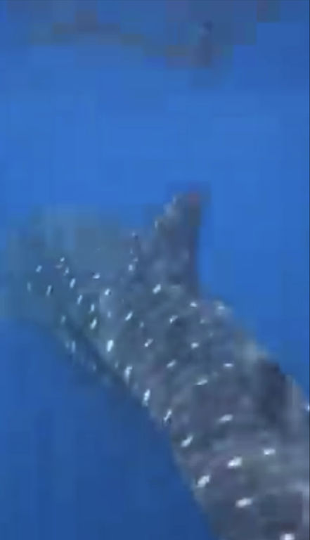 7c78a0ef-5c7c-4aac-b4dc-a1f58413896f