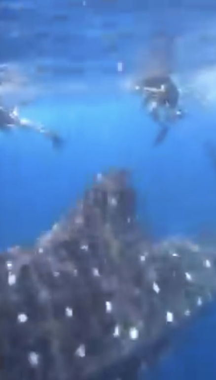 7c78a0ef-5c7c-4aac-b4dc-a1f58413896f