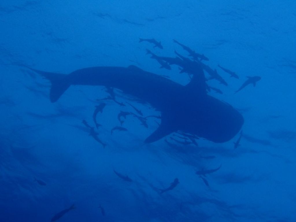 0f316c97-b87b-4b3e-89f1-c139187be6ee