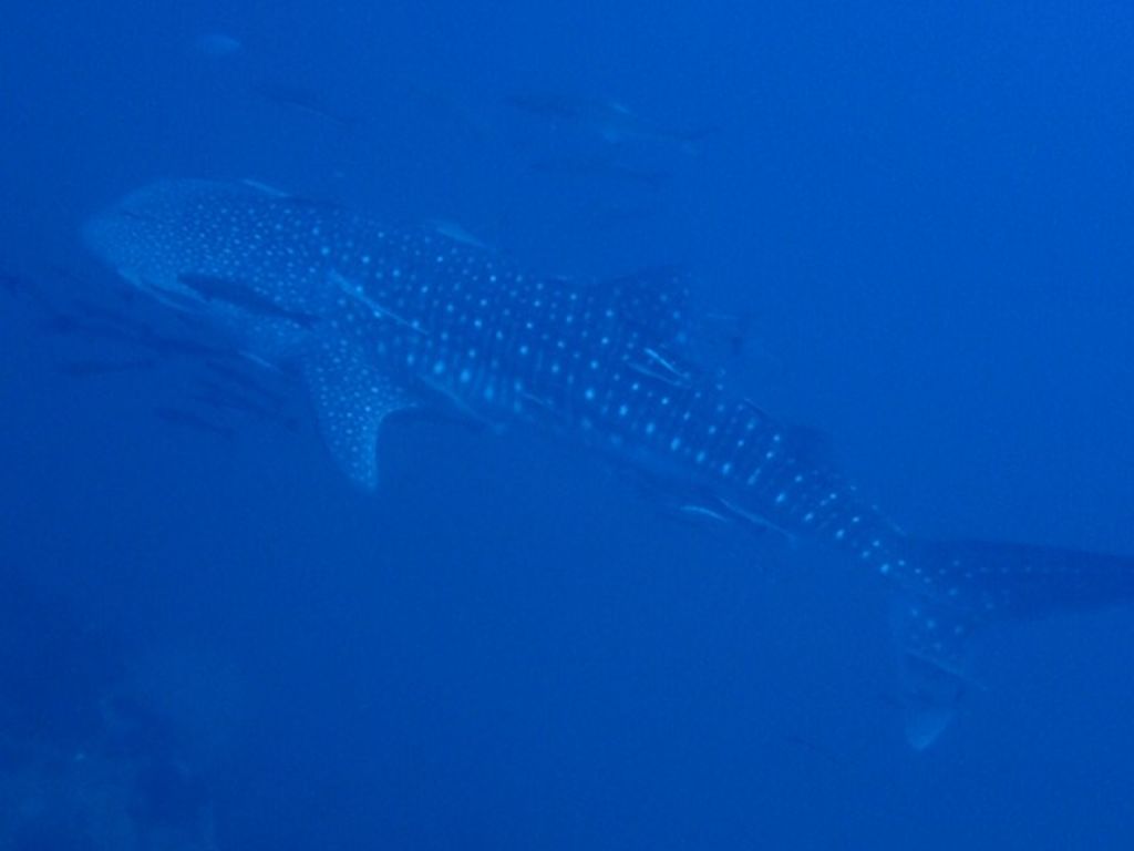 0f316c97-b87b-4b3e-89f1-c139187be6ee