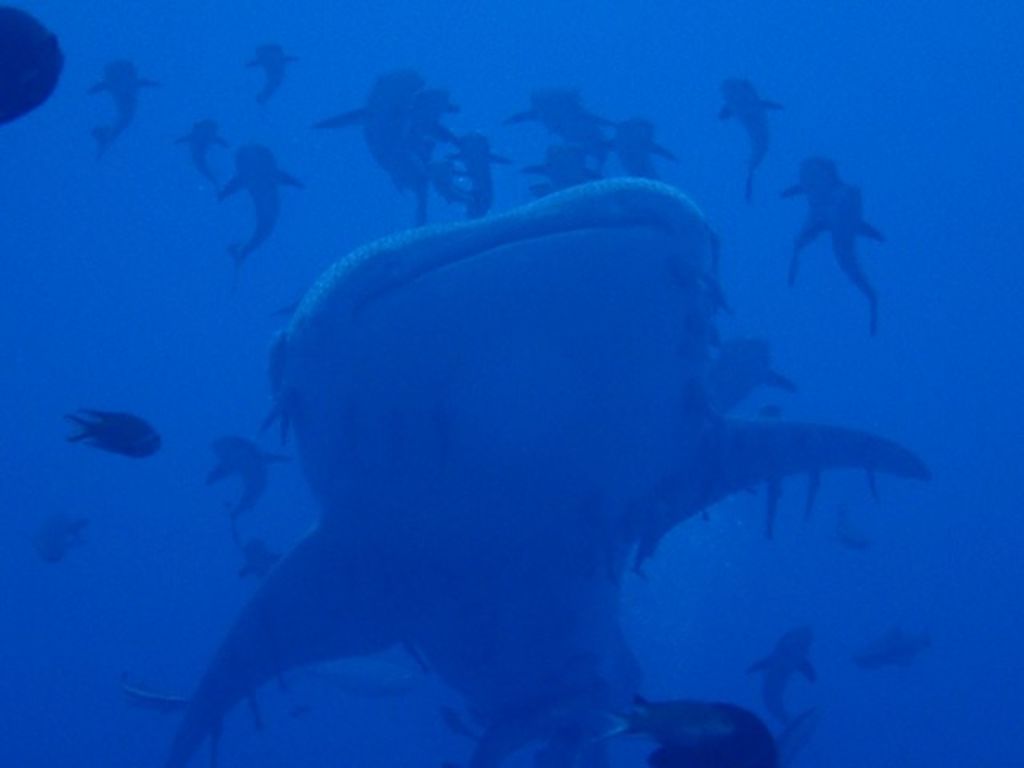 0f316c97-b87b-4b3e-89f1-c139187be6ee