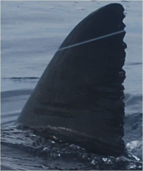 587a11dd-2788-4796-b1c1-dc92a207d571