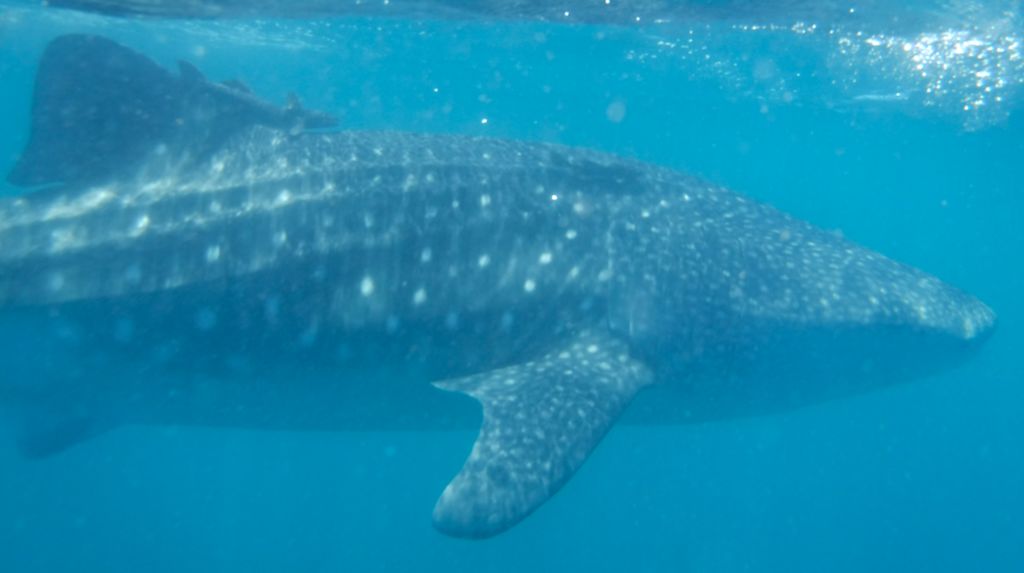 774a8aae-207f-495a-a8e9-c1f29d5a4bef